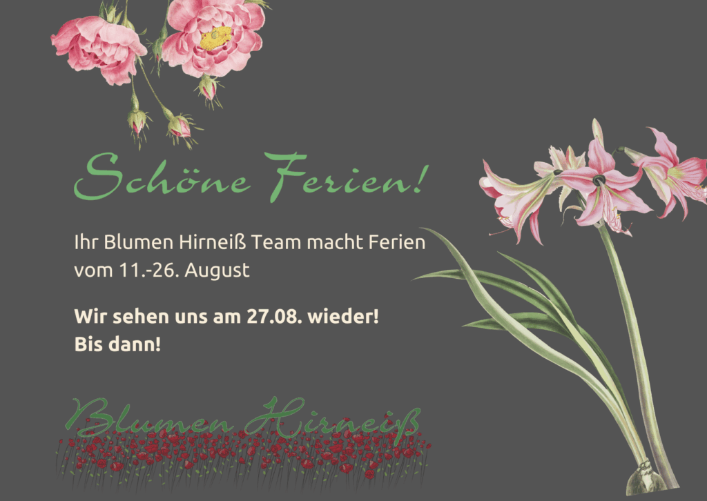 2025 Hirneiss Sommerurlaub