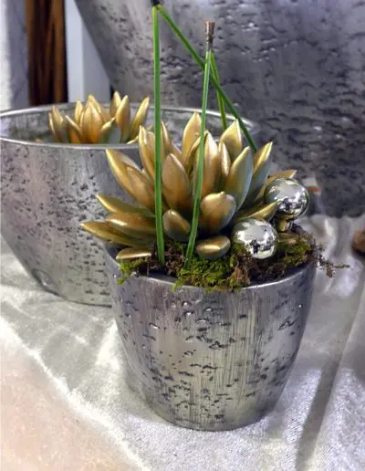 edle Zimmerpflanze in Gold