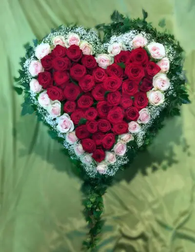 Herz Rote Rosen