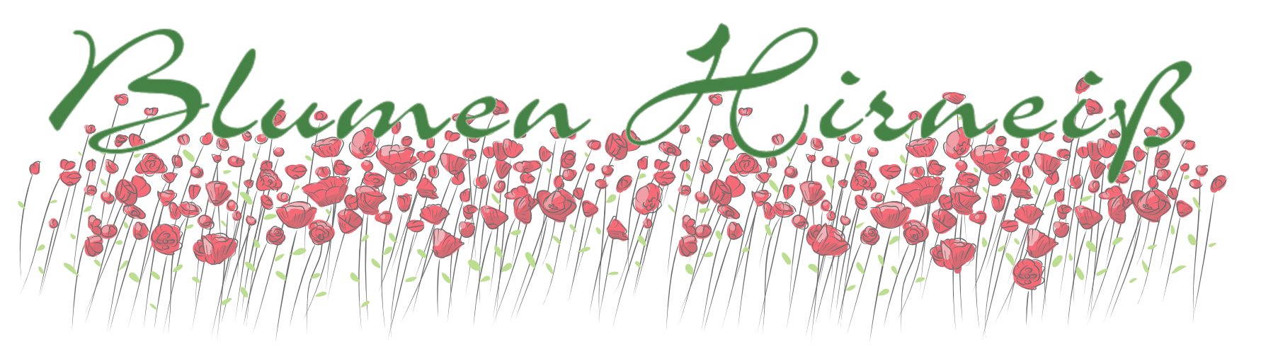 Blumen Hirneiss Ihr Blumen Und Pflanzen Spezialist In Wasserburg